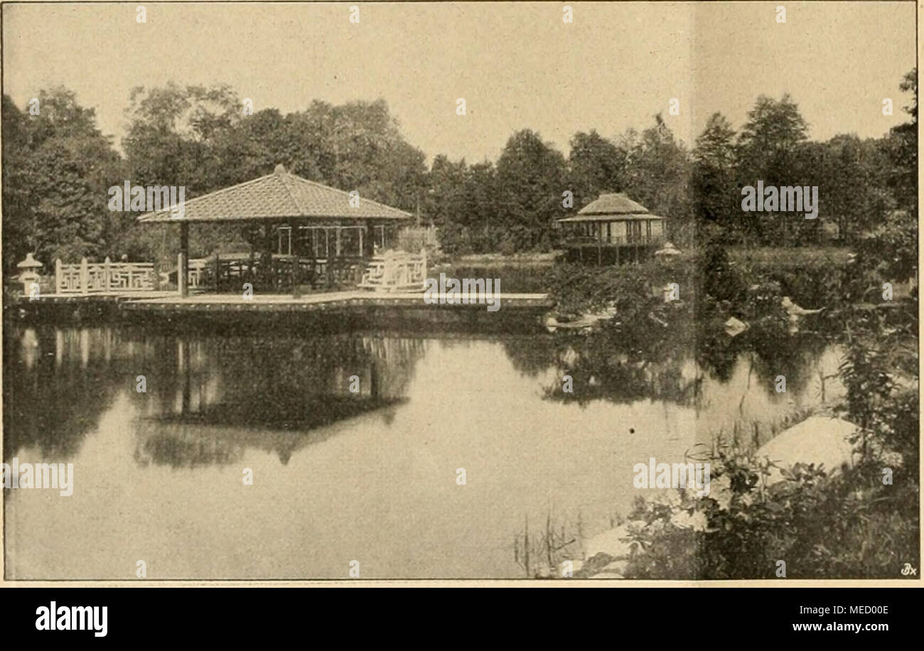 Gartenwelt Sterben Partie Aus Dem Japanischen Garten