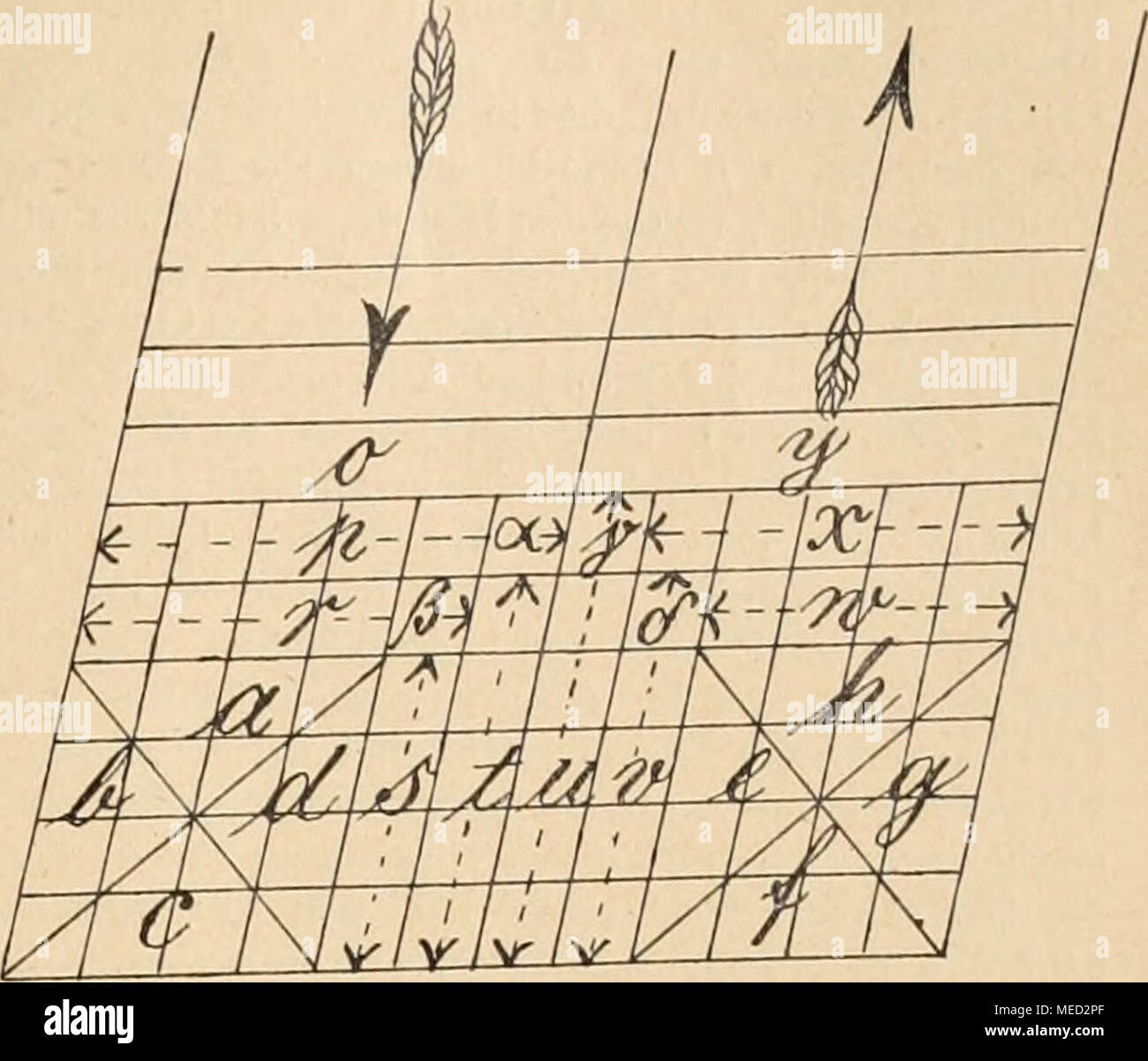 . Gartenwelt sterben. Alle Pflanzen und Pflanzenteile, welche aus Gegenden versendet werden sollen, in denen diesem herrschen, müssen vorher unter-sucht und desinfiziert werden. Amtlich nicht untersuchte Sendungen werden von den Eisenbahnstationsvorstehern beanstandet. Nur in this Weise ist in Amerika sterben planmäßige Vertilgung aller diesem Gfk möglich, wenigstens die Verbreitung derselben verhindert. Redner ist der Ueberzeugung, dass solche Maßnahmen auch in Deutschland erforderlich und durchführbar seien. Zu diesem Zwecke müßten schon sterben Lehranstalten bahnbrechend vorgehe Stockfoto