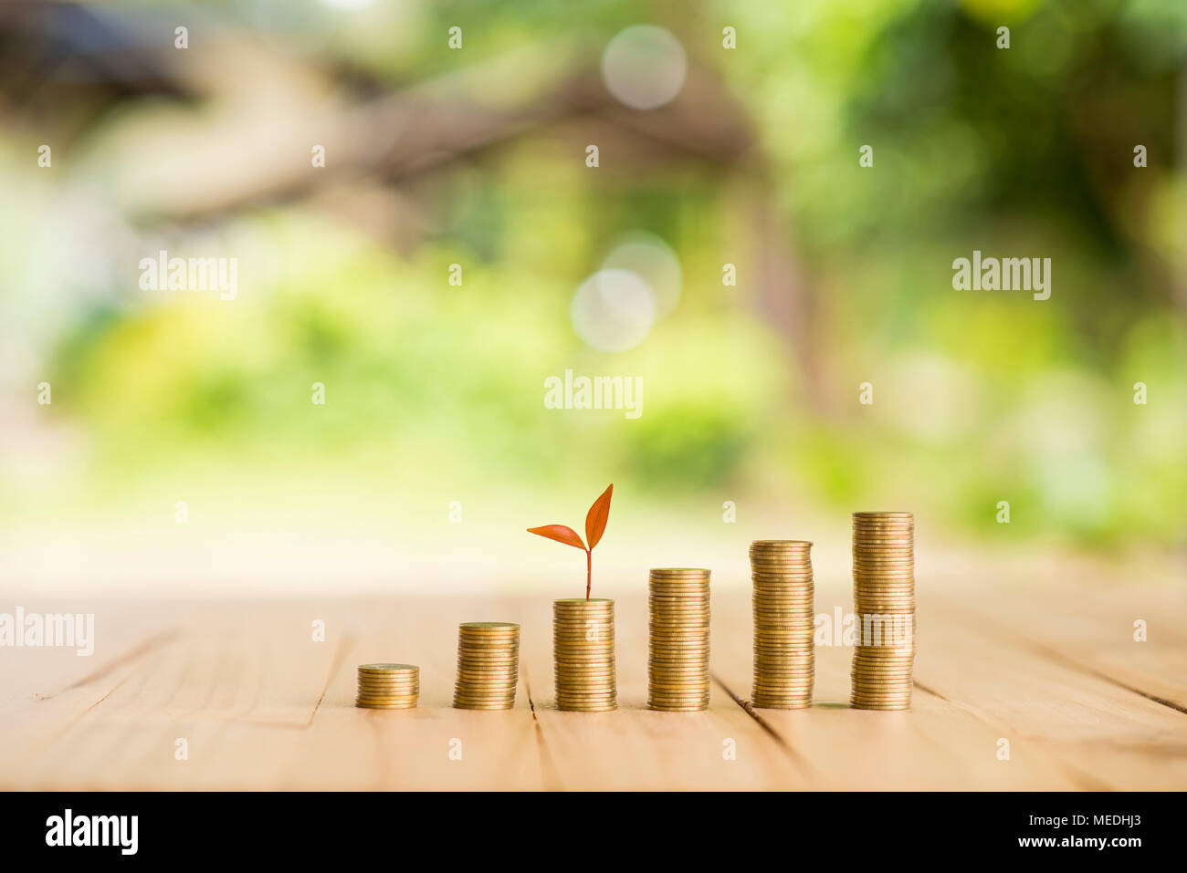 Goldmünzen und Pflanze mit grünem bokeh Licht in Geld sparen Konzept Stockfoto