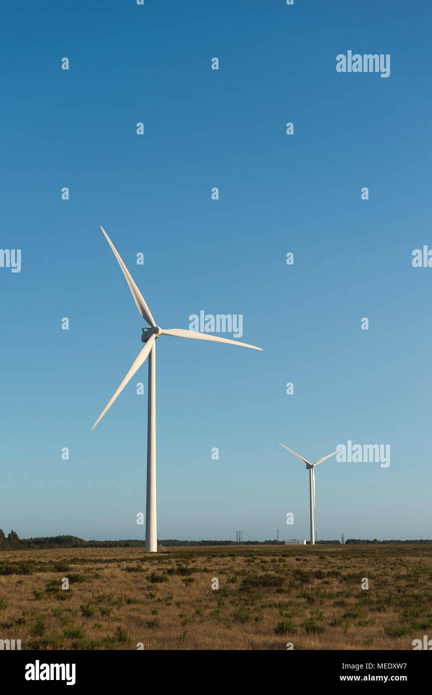 Nahaufnahme eines Wind Energy Farm im südlichen Portugal Europa Erzeugung von erneuerbarer Energie den Planeten einer grüneren Ort zu machen Stockfoto