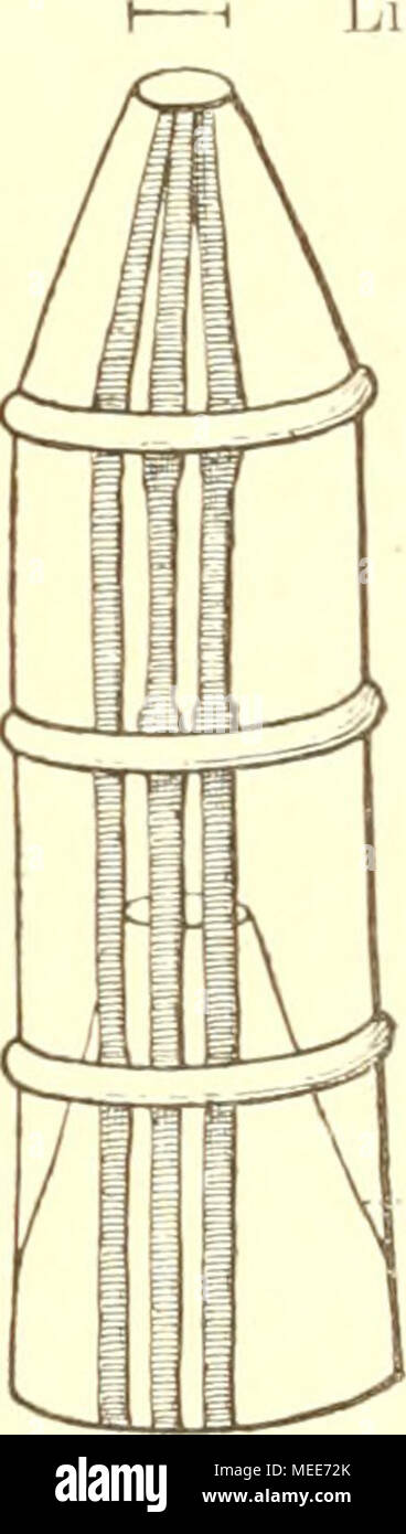 . Sterben Garneelenfischerei an der Oldenburgischen und preussischen Küste bis zum Dollart. Fiff. 2. H Lichte Weite 11',, bis 12 cm König ich Ring 2 König 3 Einkehle H Liclite Weite 26',, cm Leitkörbe (Abb. sterben. 1) haben folgende Dimensionen (ein Exemplar wurde gemessen, sterben Berlin waren ziemlich ähnlich): Vordere Mündung: Einspritzdüse Ca. 90 cm, Hintere Öffnung: Einspritzdüse (lichte Weite) Ca. 13 cm, Seitenlänge: Ca. 1 m 37 cm. *) Man vergleiclie zu der naclifolgenden BeBclireibiuig sterben Angaben und Abbildungen deg weiter hinten folgenden Bericlites von 1898, Kapitel 2 (Seite 42 Ö".). 4* Stockfoto