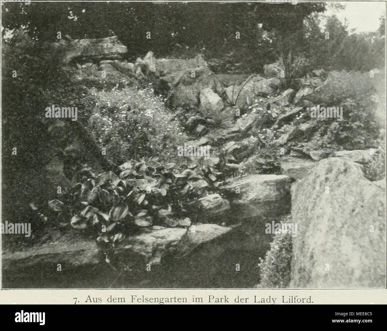 . Gartenkunst sterben. Unsere westeuropäische, noch so junge Landschafts-gestaltung ist bei weitem noch nicht so reich eine künst-lerischen Feinheiten und dürfte es auch Gedenkbuch in ähnl icher Kunst werden. In der Hauptsache weht auch heute noch ein stark architektonischer Zug durch unsere Landschaftsgestaltung. Wir arbeiten im Parke noch fast ausschließlich oder mindestens viel zu sehr nach den gleichen architektonischen Prinzipien wie im Garten (auch in der 1746-1759 architektonisch gegliederten Anlage in meinem Sinne). Aber w' ie ich wiederholt in meinen Schriften auseinandergesetzt haben, Sindh Garten Stockfoto