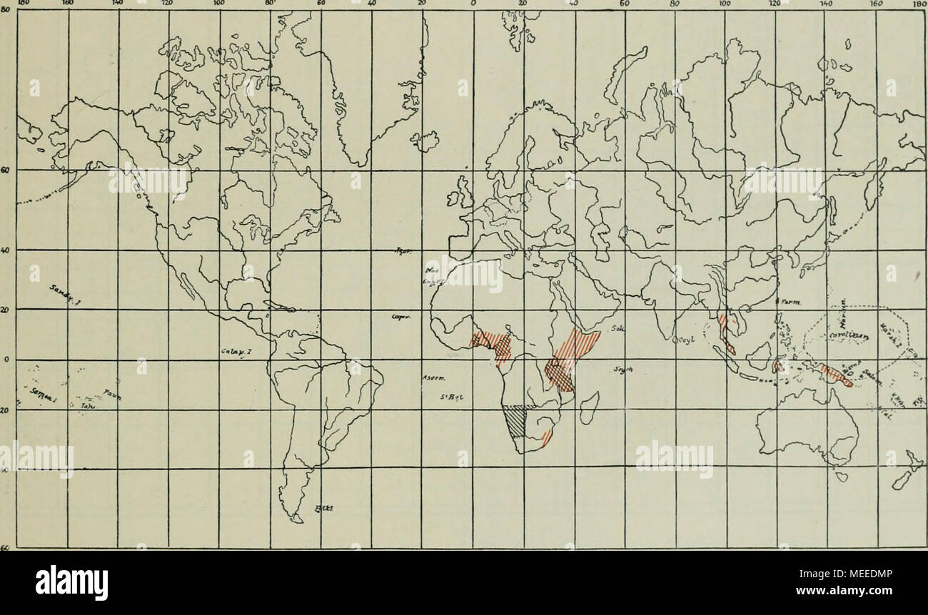 . Bienen sterben Afrikas nach dem Stande unserer heutigen Kenntnisse. Karte 15. Vorkommen südafrikanischer Bienengattungen in anderen Erdteilen. Verbreitung von Scrapter (Ctemplectra). maxillosa GuER. erwähnen, die trotz ihrer großen Verbreitung doch noch sterben östliche Heimat und ihr Wander-gebiet nach allen Richtungen zeigt. In geringerer Ausdehnung zeigen stirbt auch sterben verwandten Megachile rußventris, Felina, hombiformis U. a. (Vergl. Karte 17.) Von den Honigbienen Ben zuerst sterben stachellosen erwähnen, das Sindh Trigona-Arten sterben, sterben den gesamten Tropengürtel der Erde umspannen und selbs Stockfoto
