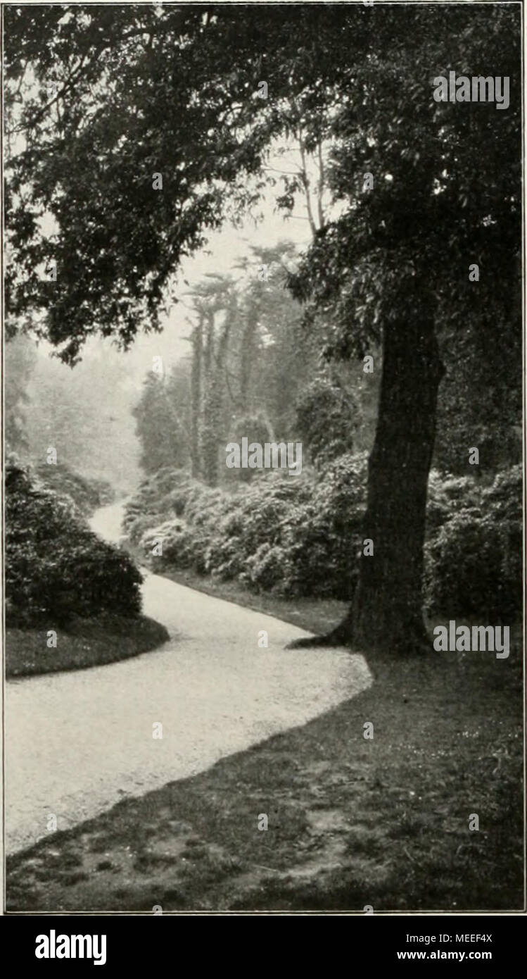 . Gartenkunst sterben. Aus dem KewGaiten: im Rhododendroiital ein das Herausarbeiten charakteristischer, eigenartiger Pflanzenbilder, aber nicht etwa ausgehend von ÖKOLOGI-schen Gesetzen, sondern ein das Zusammenstellen / rein künstlerischen Gesichtspunkten in malerisch un-regelmäßiger Form. Mann wird this Gestaltungsart nach alter Gewohnheit,, landschaftliche Gestaltungsart" nennen und doch hat dieselbe mit,, Landschaft" wenig oder gar nichts zu tun. Es müßte sein eine Gestal- tungsart, sterben überall ehrlich und 'weiche' en des Menschen Wille und Gestaltungskraft zeigt, und dabei wäre das Stockfoto