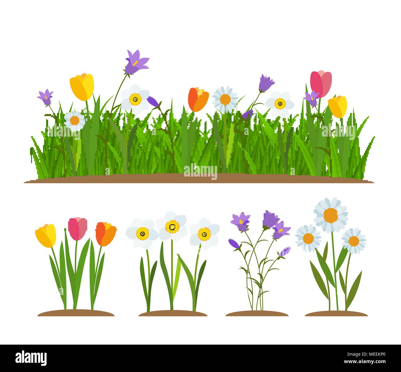 Gras Und Blumen Grenze Grusskarte Deko Element Weissen Hintergrund Vector Illustration Stock Vektorgrafik Alamy