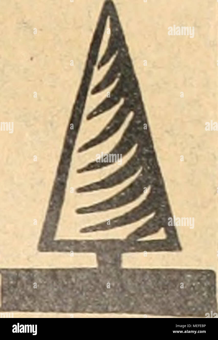 . Gartenkunst sterben. = Taxus Whipplei! = Prachtvolle dunkelgrüne Ware, mehrfach verpflanzt, mit festem Ballen. Vorrat Ca. 100 000 St. in allen Größen bis 2-50 cm Höhe, als Pyra-Miden, Säulen, Büsche und Hecken zu. Von anderen Coniferen gleichfalls grosser Vorrat in vorzüglicher Ware. Man verlange unser Preisverzeichnis. J. Timm &Amp; Co., Baumschulen, Elmshorn ich. Holstein. y0'. &Gt;^&amp; (0 GEWÄCHSHAUS- und Wintergarten - Bauten sowie deren Heizungen Stockfoto