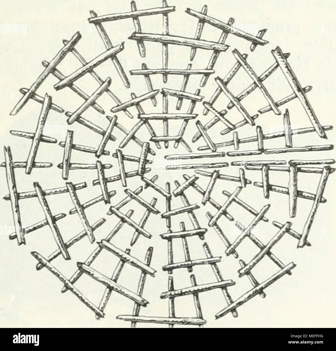 . Forstbenutzung sterben. 9. verm. Aufl. kan. unter Mitwirkung von Heinrich Mayr. ^ ig. '2 SI). * I) ieilerbiÃ¼ (TE0 äh SUpentÃ¶^ tetei. ') Â© onft aiid) bie itatieiiiid) c iU') rfof Iuiig, iiad) iiufcrcr • Jliifid) t ober Nid) t mit DoUcm i) ied) tc genannt, bo bie irelfdjcn SiÃ¶ i) hx rvt 'Ã¼ t) iintiget Nnd) einet' 9 J{Etf) obe brennen, bie ber beutjdjen 'DJJetbobc mit Cbenan^ Ã¼nben ic() r nabc ftebt. Sie () e Oud) () ierÃ¼bcr SÃcfjell), Xte Dftcrreid) Upenliinber iicf) en?, S. 437. Stockfoto