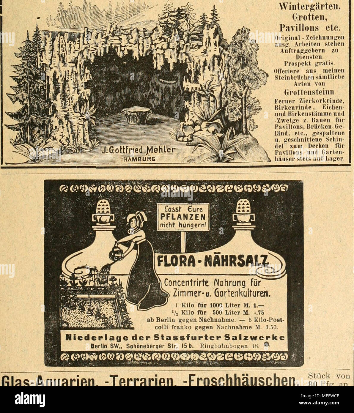 . Gartenkunst sterben. Glas-Aquarien,- Terrarien, - Froschhäuschen, so Julius Müller, Spremberg Stück von 84 Pfg. an. Iii. Internationale Gartenbauaus-Stellung zu Dresden 1907. Unter dem Protektorat Sr. Maj. des Königs Friedrich August von Sachsen. Vorarbeiten des Ausschusses der Dresdener Gärtnerscliaft für sterben für 1907 ge-plante grosse internationale Garten- bauausstellung Sindh Nonne soweit ge Diehen, dass man eine Vorstellung von Dm gewinnen kann, war sie bringen wird. Es versteht sich ganz von selbst, dass ein solches kostspieliges Unternehmen nur im Sinne der Förderung der hauptsächlichste Stockfoto
