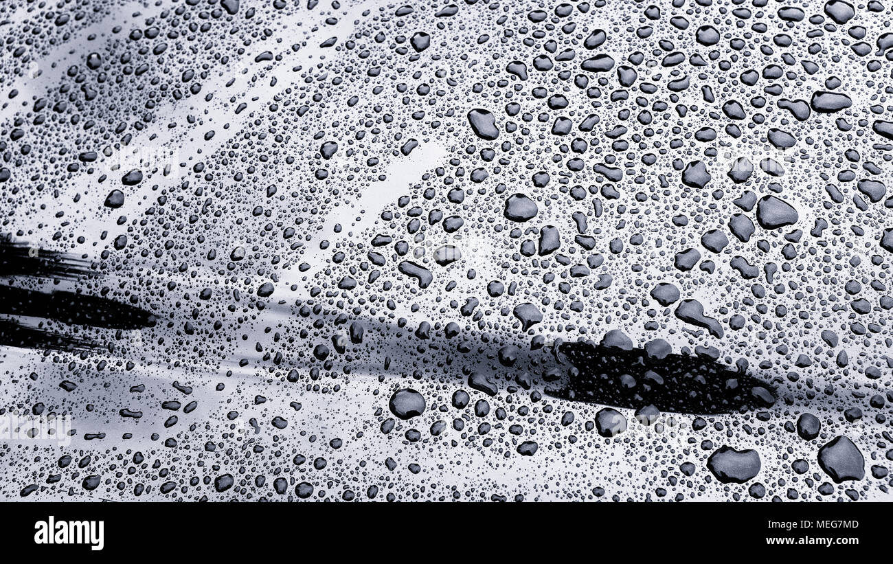 Wasser perlen auf einem sauberen Auto Windschutzscheibe Stockfoto