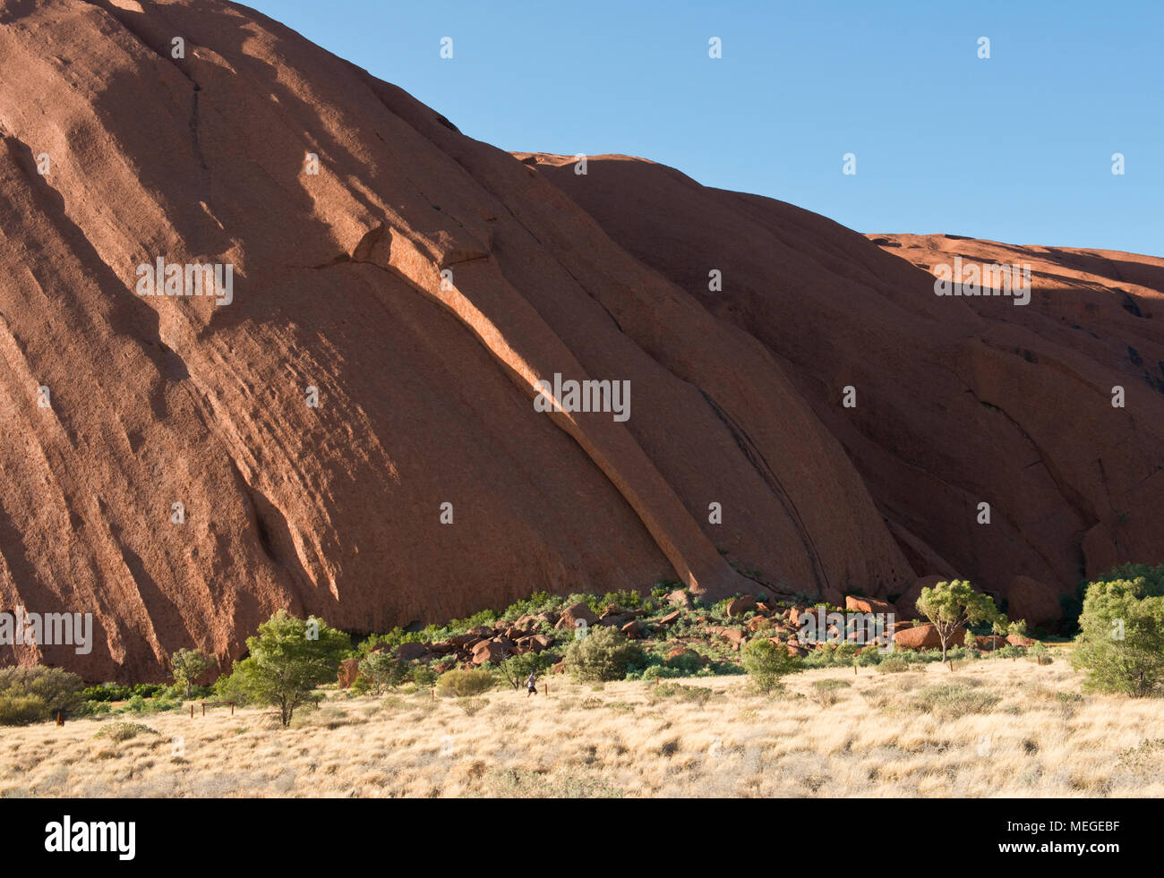 Abfallende sedimentären Ebenen sichtbar in der Felswand des Uluru (Ayers Rock). Uluṟu - Kata Tjuṯa National Park. Northern Territory, Australien. Stockfoto