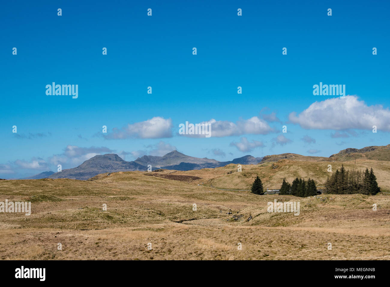 Die moelwyn Berge im Südlichen Snowdonia National Park (Parc Cenedlaethol Eryri) in Gwynedd, Wales mit y Migneint, einer Hochebene moorland Stockfoto