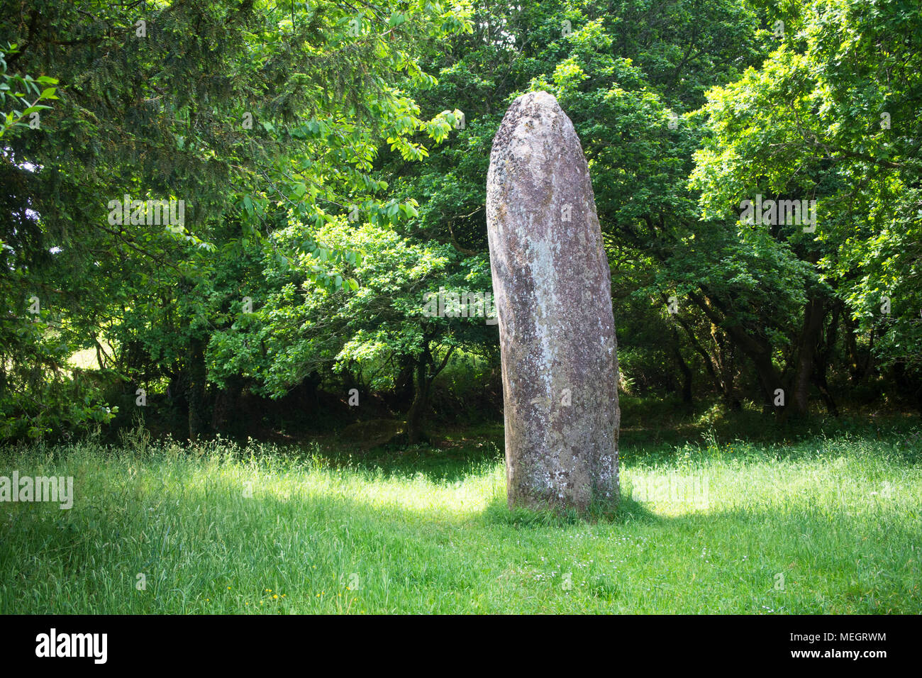 Der Menhir de Kerampeulven, ein Standing Stone bei Huelgoat, Brittant, Frankreich - Johannes Gollop Stockfoto