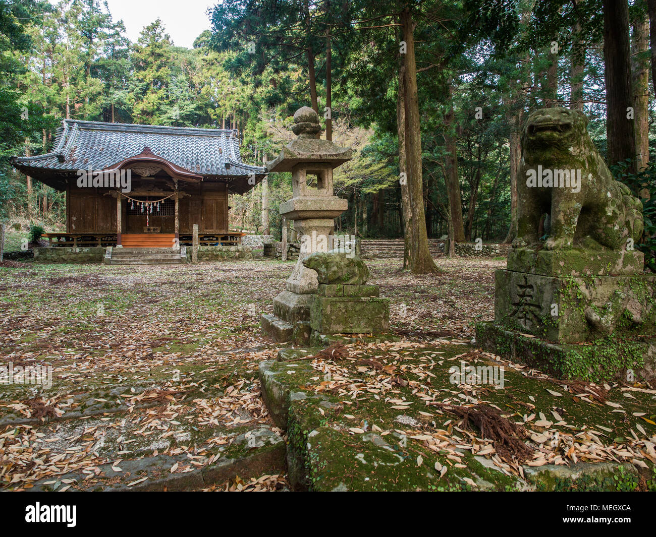 Ländliche Dorf Shinto Schrein, mit ishidoro und komainu, Kochi, Shikoku, Japan Stockfoto