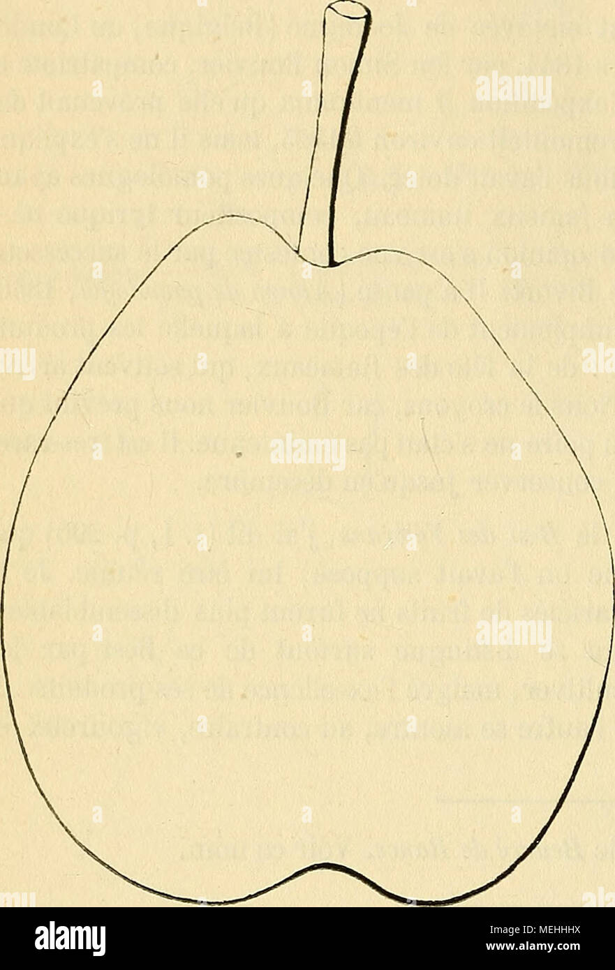 . Wörterbuch de pomologie: Contenant l'histoire, la Description, la Abbildung des Früchte Früchte anciens et des modernes les plus gÃ©nÃ©ralement connus et cultivÃ © s. Elliott, Obst, etc. Amerika, 1863, S. 538.) 1854, S. 382 plissÃ©s. Â Åil: Petit ou moyen, arrondi, ouvert, faiblement en-foncÃ©. Â Peau: Hackfleisch, jaune d'Or", trÃ¨s-amplement nuancÃ©e de Rose tendre, couverte de Punkte Roux de plus rapprochÃ©s, striÃ©e de mÃªme dans le bassin ombilical et maculÃ©e de gris verdÃ¢tre Autour du pÃ©don-cule. Â Stuhl; Blanche, demi-feine, fondante, juteuse, pierreu fortement marcescente et Stockfoto