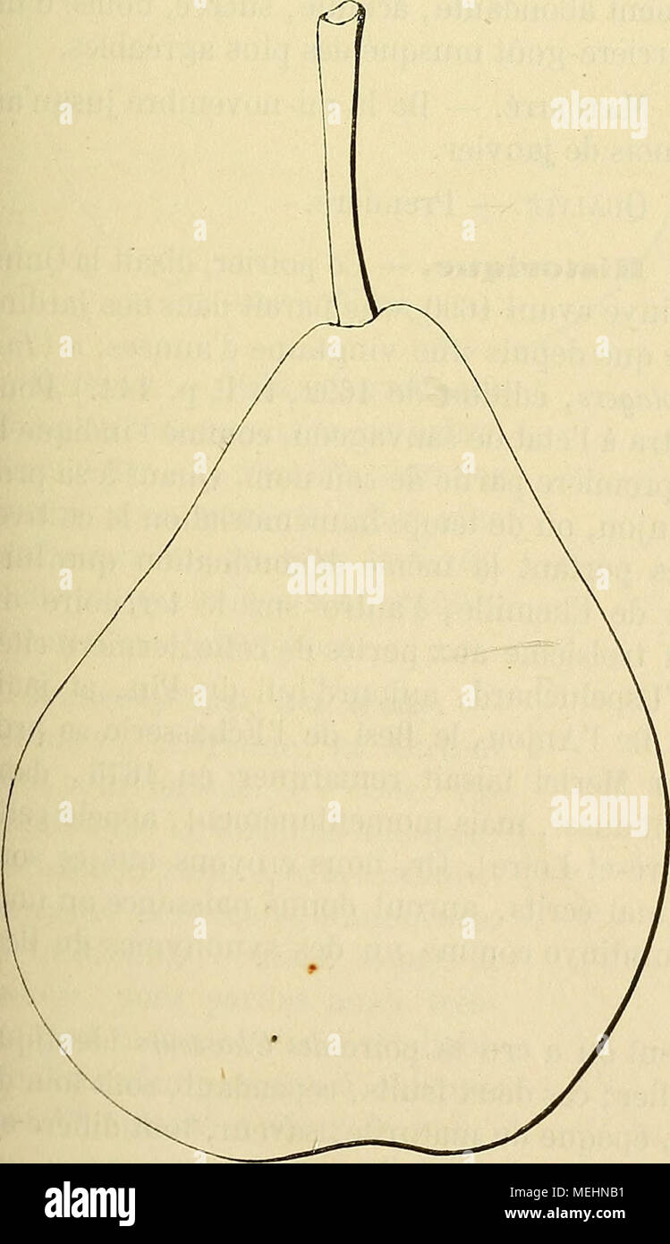 . Wörterbuch de pomologie: Contenant l'histoire, la Description, la Abbildung des Früchte Früchte anciens et des modernes les plus gÃ©nÃ©ralement connus et cultivÃ © s. cailles ayant les Ã©lÃ©gÃ¨rement Entr'ouvertes. Synonyme. - Poires: 1. Bezy De Vil - Landry (Merlet, l'AbrÃ©gÃ© de Bons Früchte, Ã © Dit.de 1675, S. 107). Â 2. Muscat de l'Ãchasserie {Id. ebd.). 3. Muscat de ViLLANDRY {Id. ebd.). Â 4. Besidery - Landry (la Quintinye, Anleitung pour les Jardins Fruitiers et potagers, Ã©dition de 1692, t. I, S. 144). Â 5. De l'Eschas-Serie {Id. ebd.). Â 6. Verte-Longue d'Hiver {Id. ebd.). Â Stockfoto