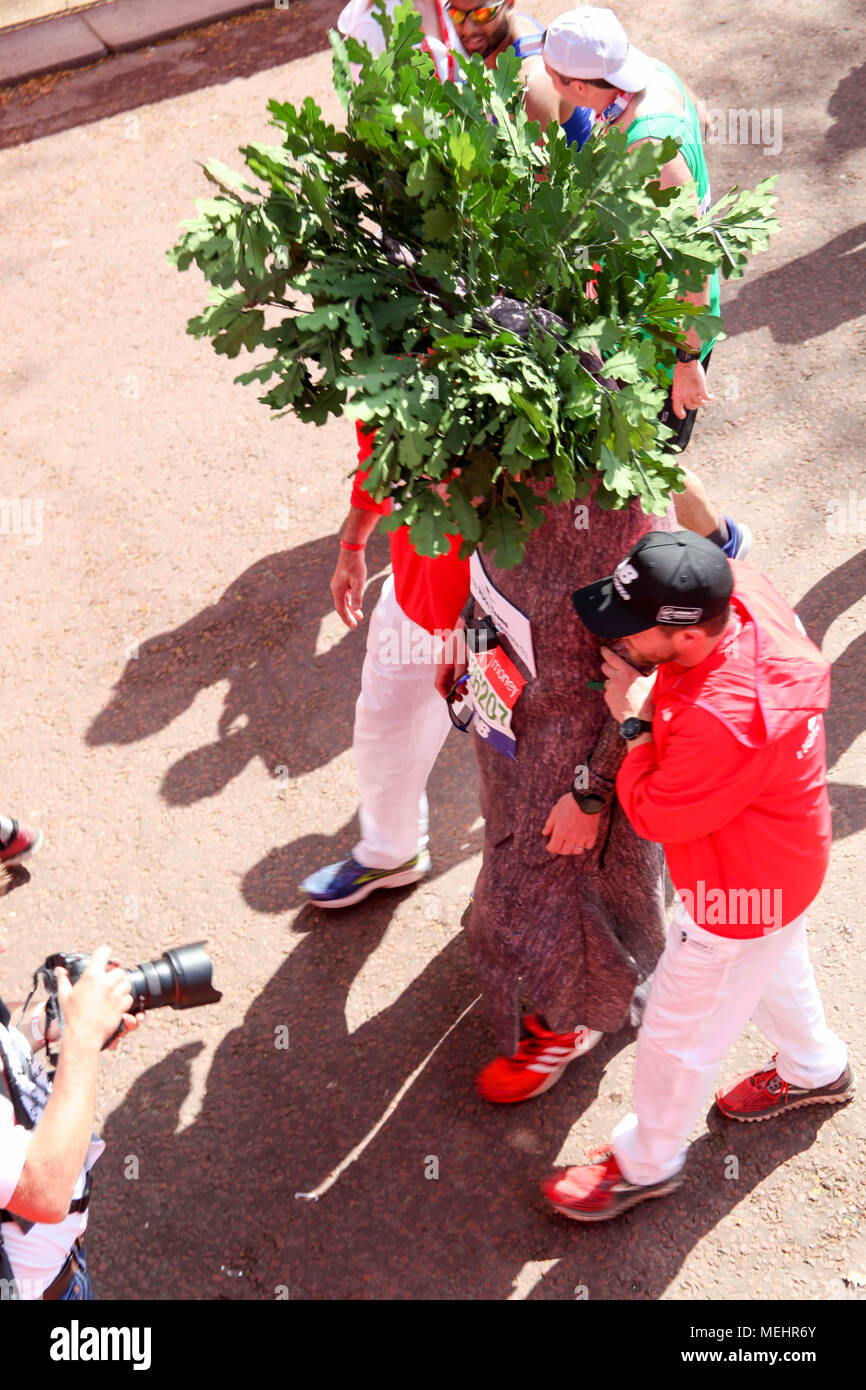 London, UK, 22. April 2018. Runner gekleidet wie ein Baum ist über die Ziellinie Credit geholfen: Alex Cavendish/Alamy leben Nachrichten Stockfoto