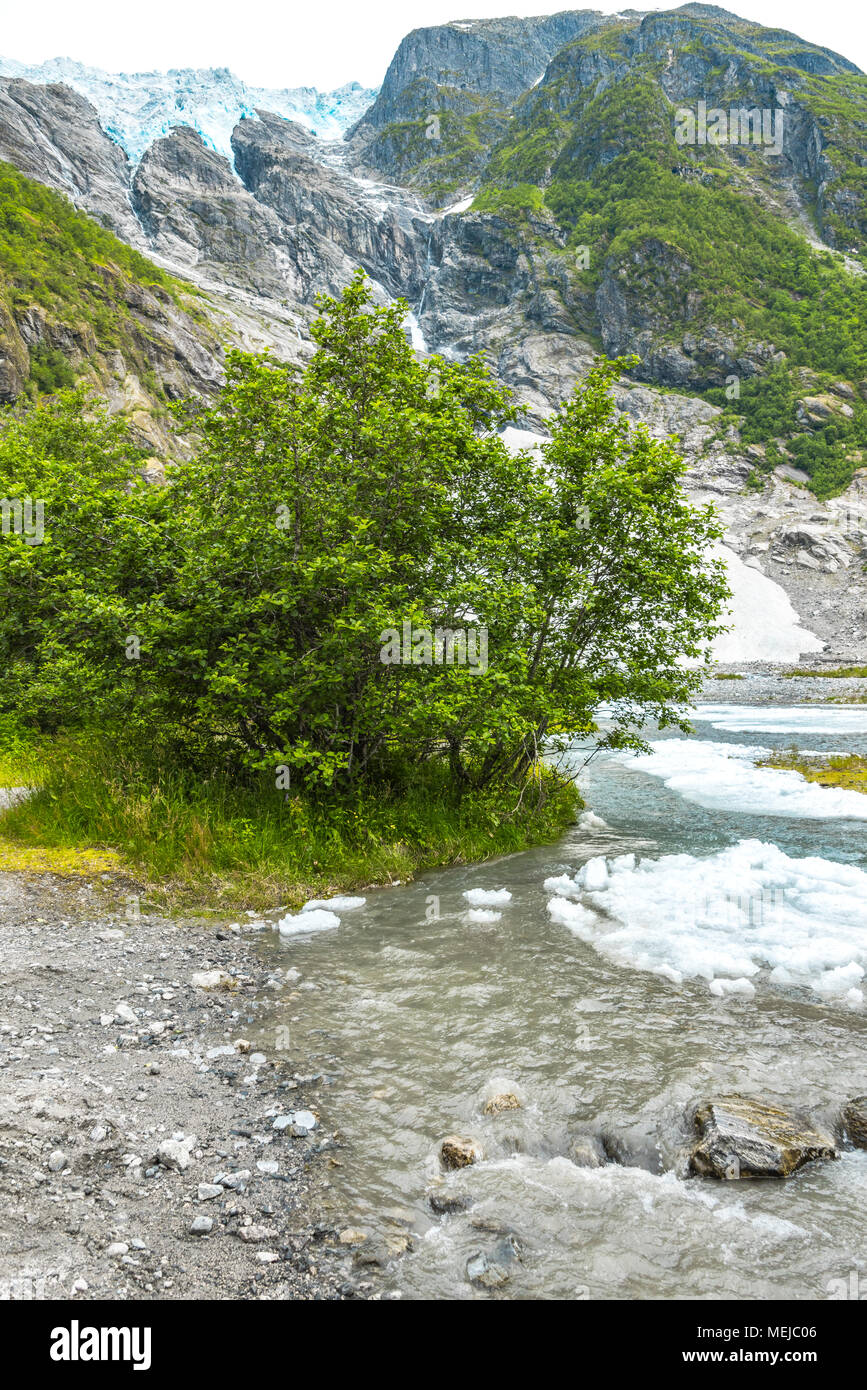 Gletscher Supphellebreen und seinen Fluss, Teil des Jostedalsbreen Nationalpark, Norwegen, in der Nähe von Sogndal, schmelzende Stücke in das kalte Wasser Stockfoto
