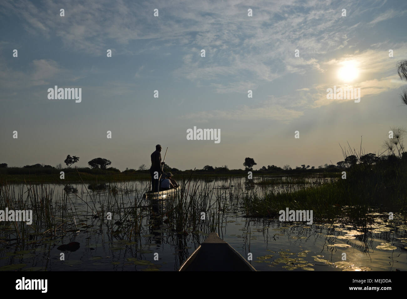 Sonnenaufgang auf dem Okavango Delta Stockfoto