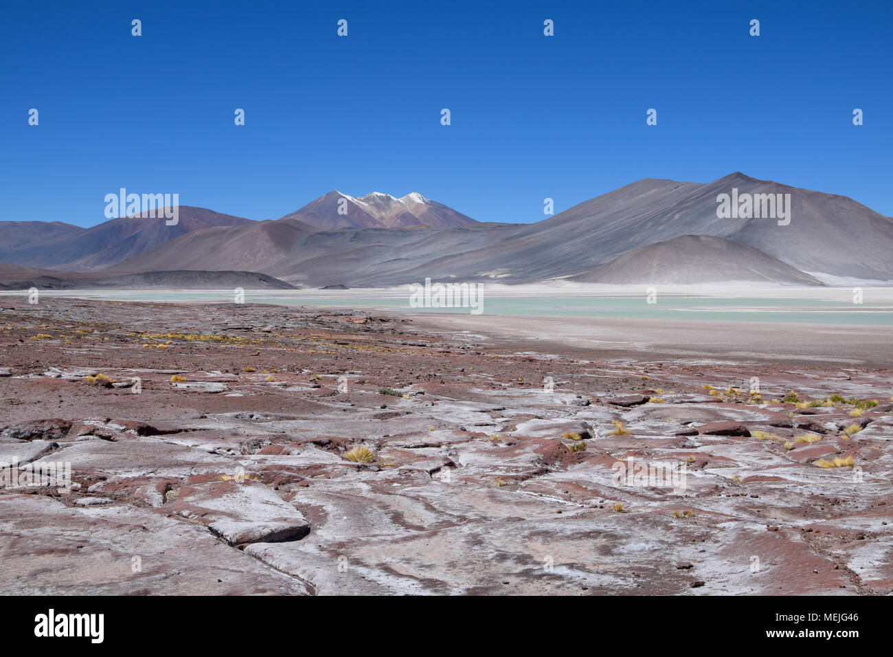 Salar de Talar in der Atacama Wüste (Chile) Stockfoto