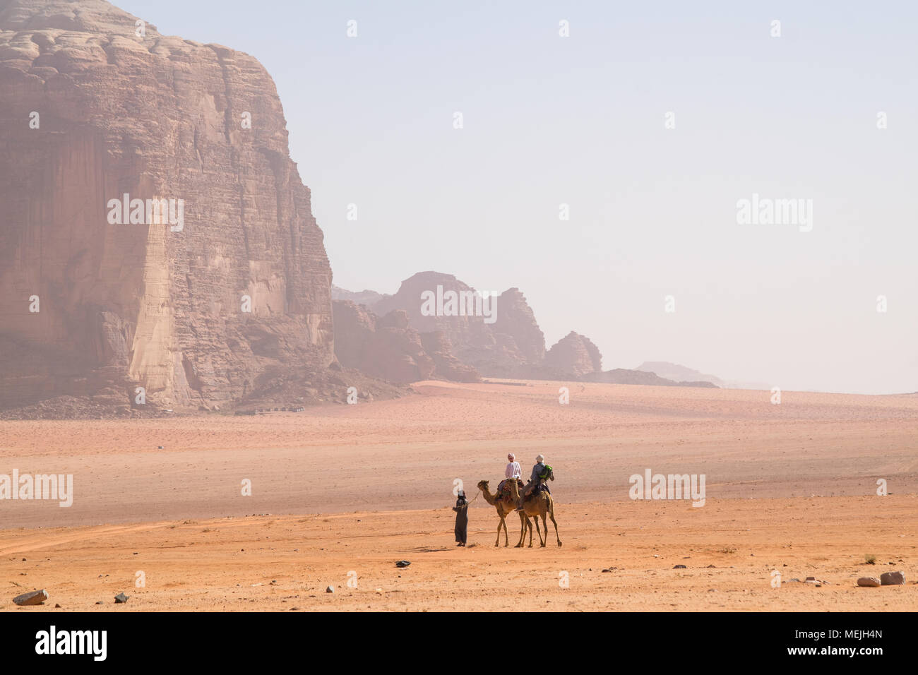 Ein Beduine reitet auf einem Kamel am Wadi Rum (Jordanien) Stockfoto