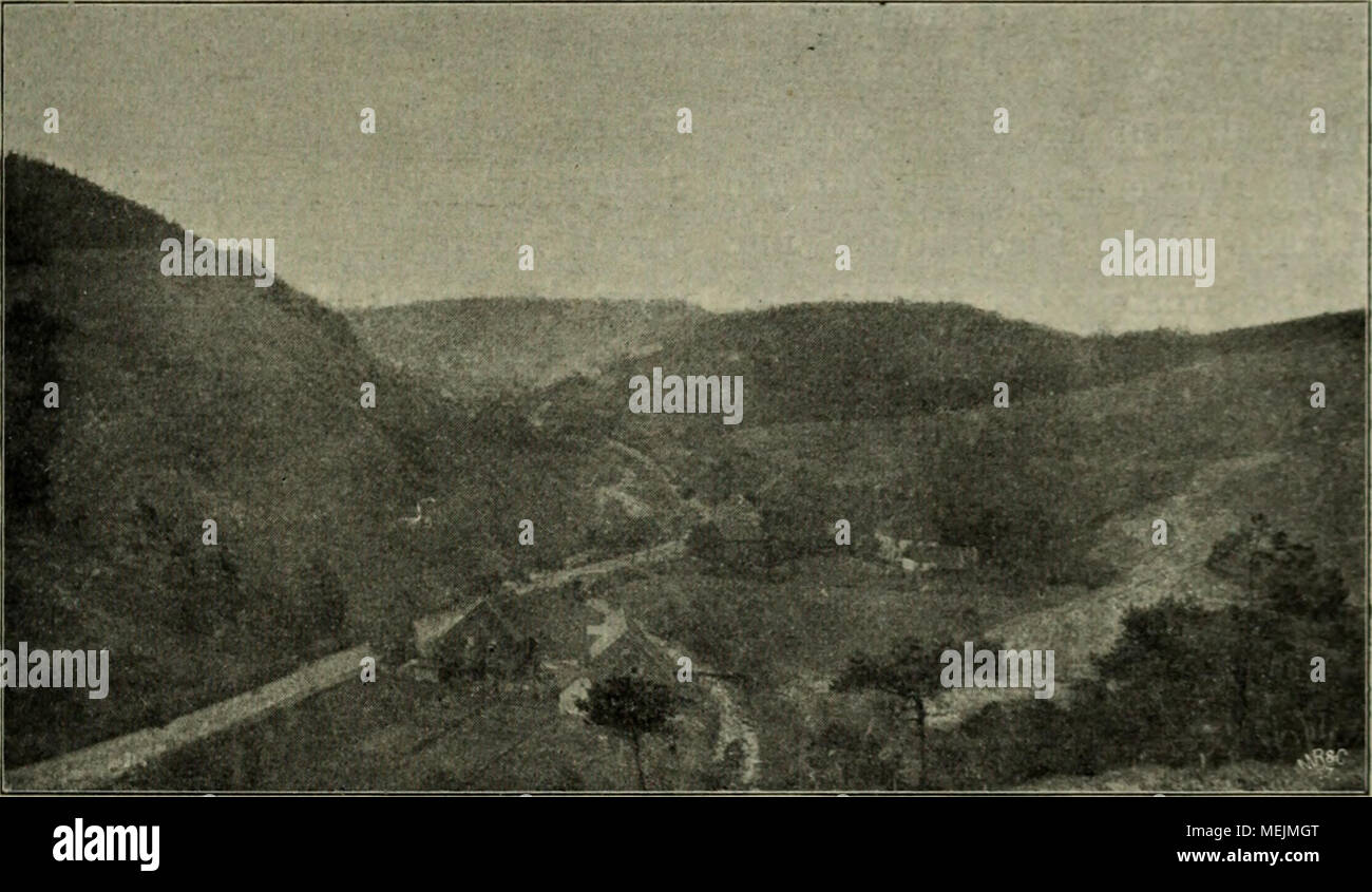 . Die Beschädigung der Vegetation durch Rauch; Handbuch zur Erkennung und Beurteilung von Rauchschäden. Abb. 12. Der Altenauer rauchblüsse Hütte, vom aiifgenoninien Dietriohsberg aus. Rechts und links kahle Hänge. Im Mittelgrunde befinden. •^ ich Hüttengebäude mit der deutschstämmigen beschädigten Laubholzpflanzung, im Hintergrund ein dm Rothenberg die Hütte. Links der Schwarzenberg. Schlucht, deren Südhang in charakteristischer Weise sterben, Sand- und Stein-Wüste zeigt. Das Regenwasser hat hier tiefe Furchen in den Boden ein-gewürfelt, jeder Regenguss befördert Steine und Sand in grossen Massen ins T Stockfoto
