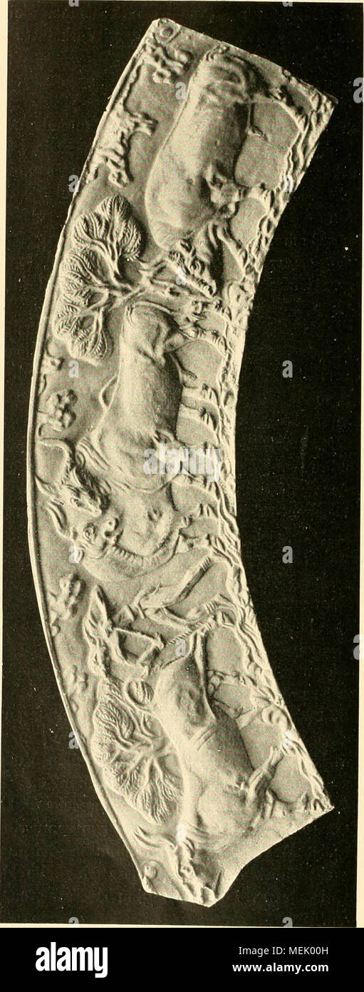 . Die Abstammung der ältesten Haustiere.. . Stockfoto