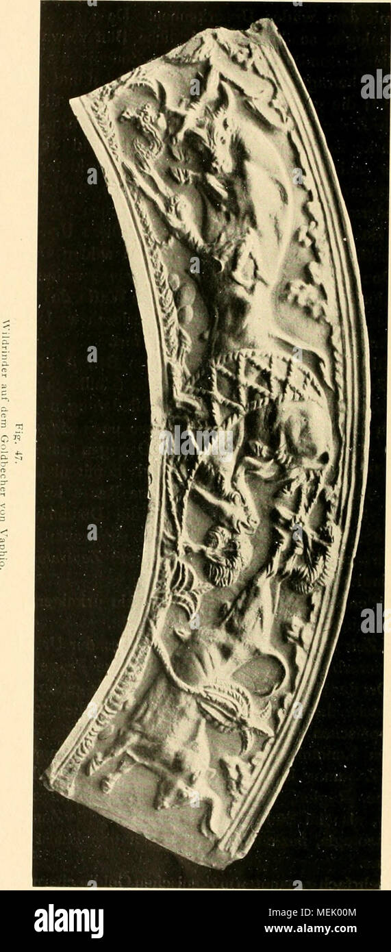 . Die Abstammung der ältesten Haustiere.. . Stockfoto