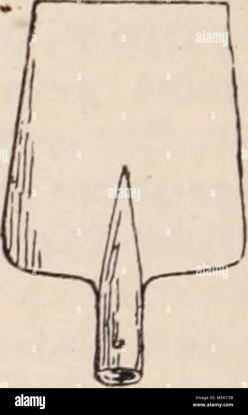 . Wörterbuch d'Gartenbau illustrÃ©/par D. Bois prÃ© Gesicht de Maxime Cornu avec la collaboration de E. André... [Et Al.]. . Abb. 673. Â Pelle Carrée. 1° La S. Carrée ou S. de Jardinier, ou Encore s. Platte (Abb. 673), À-fer rectangulaire, lÃ©gÃ¨Rement-cintrÃ © transversalement, et à manche gÃ©nÃ©ralement Droit. LÃ©gÃ¨re et d'un maniement Facile, Elle sert surtout pour Ã©Taler la terre Meuble et les Terreaux, pour relever et Dresser les Bords de sentiers et pour niveler Les Planches. 2° La S. creuse ou S. de terrassier, À-fer Dreschkorb et terminÃ©en Pointe arrondie, plus fort, plus Stockfoto