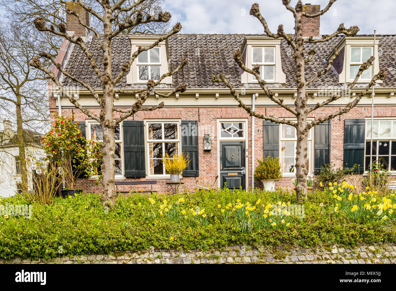 Streetview traditionelle holländische Häuser Stockfoto
