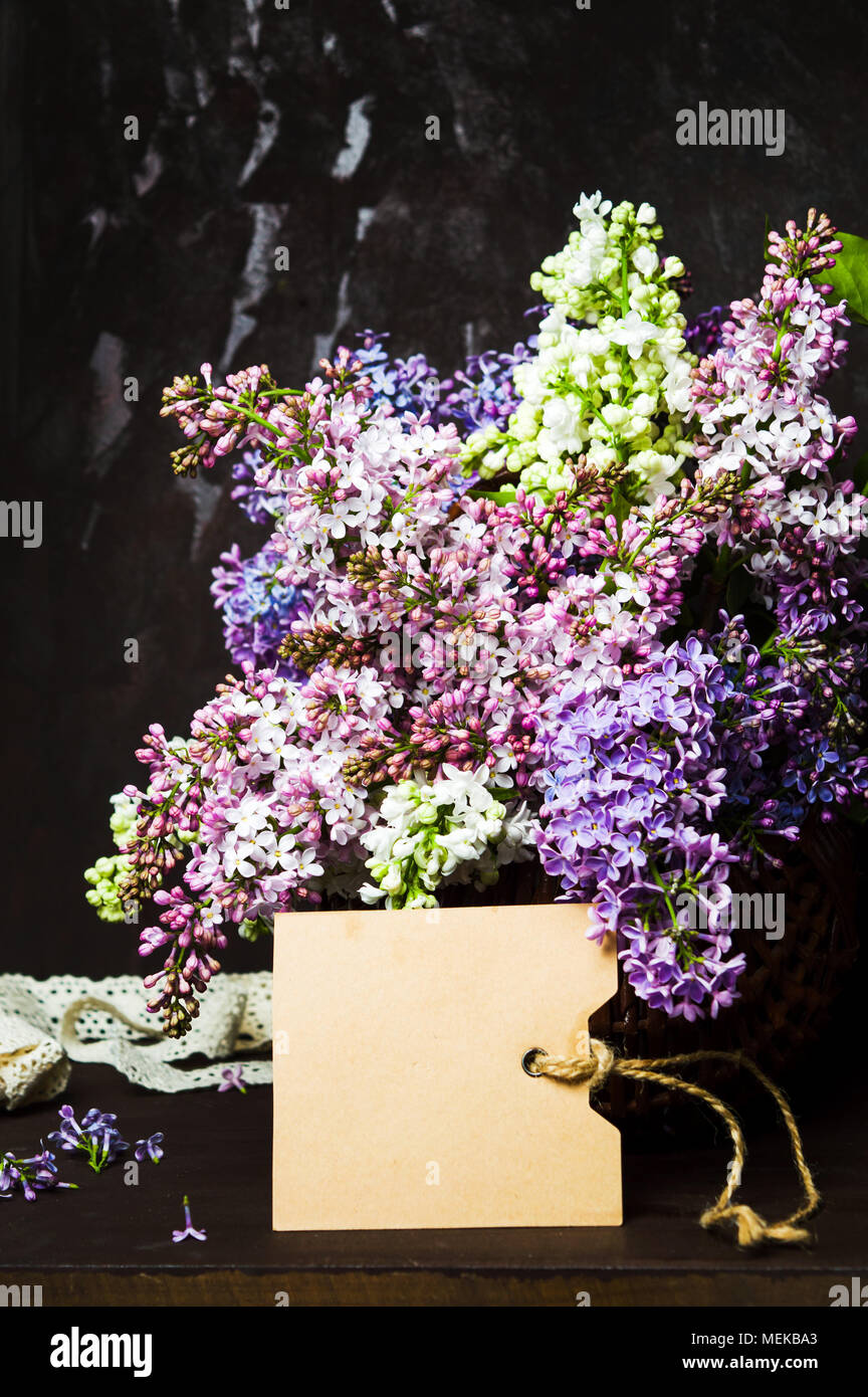 Bunte lila Blumen Blumenstrauß in einem Topf mit leeren Stockfoto