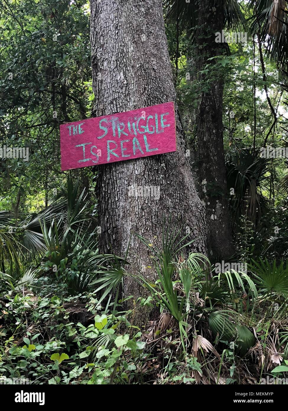 Ein Zeichen in einem armen, ländlichen Gegend von Florida lautet: "Der Kampf ist Real" Stockfoto