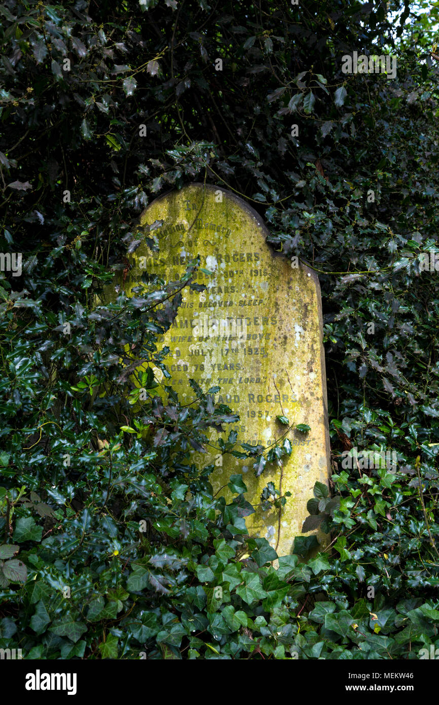 Abney Park Friedhof, einer der glorreichen Sieben Friedhöfe in London, Großbritannien Stockfoto