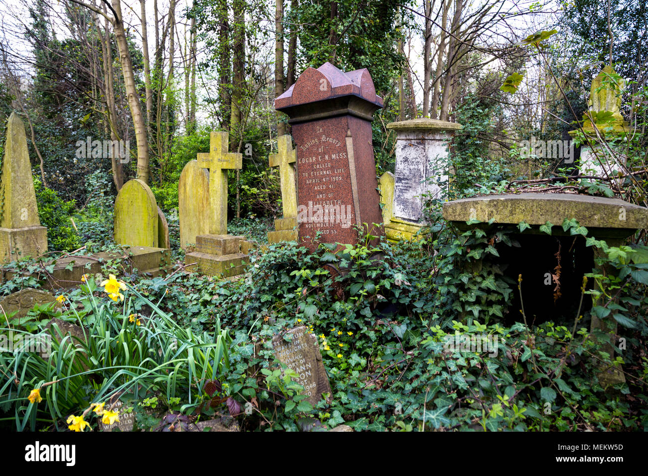 Gekippt Grabsteine an Abney Park Friedhof, einer der glorreichen Sieben Friedhöfe in London, Großbritannien Stockfoto