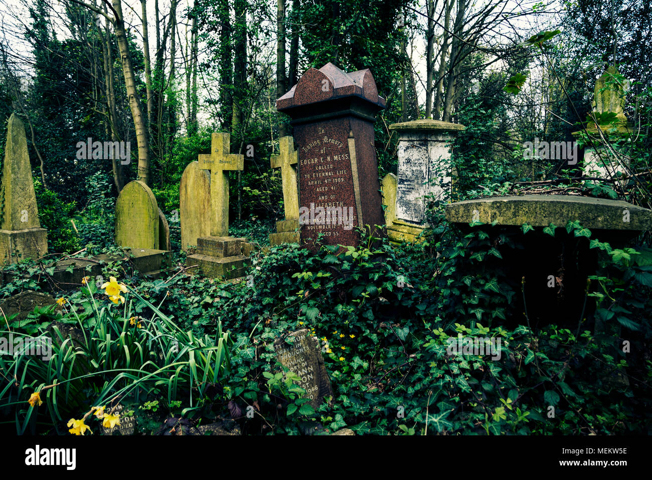 Gekippt Grabsteine an Abney Park Friedhof, einer der glorreichen Sieben Friedhöfe in London, Großbritannien Stockfoto