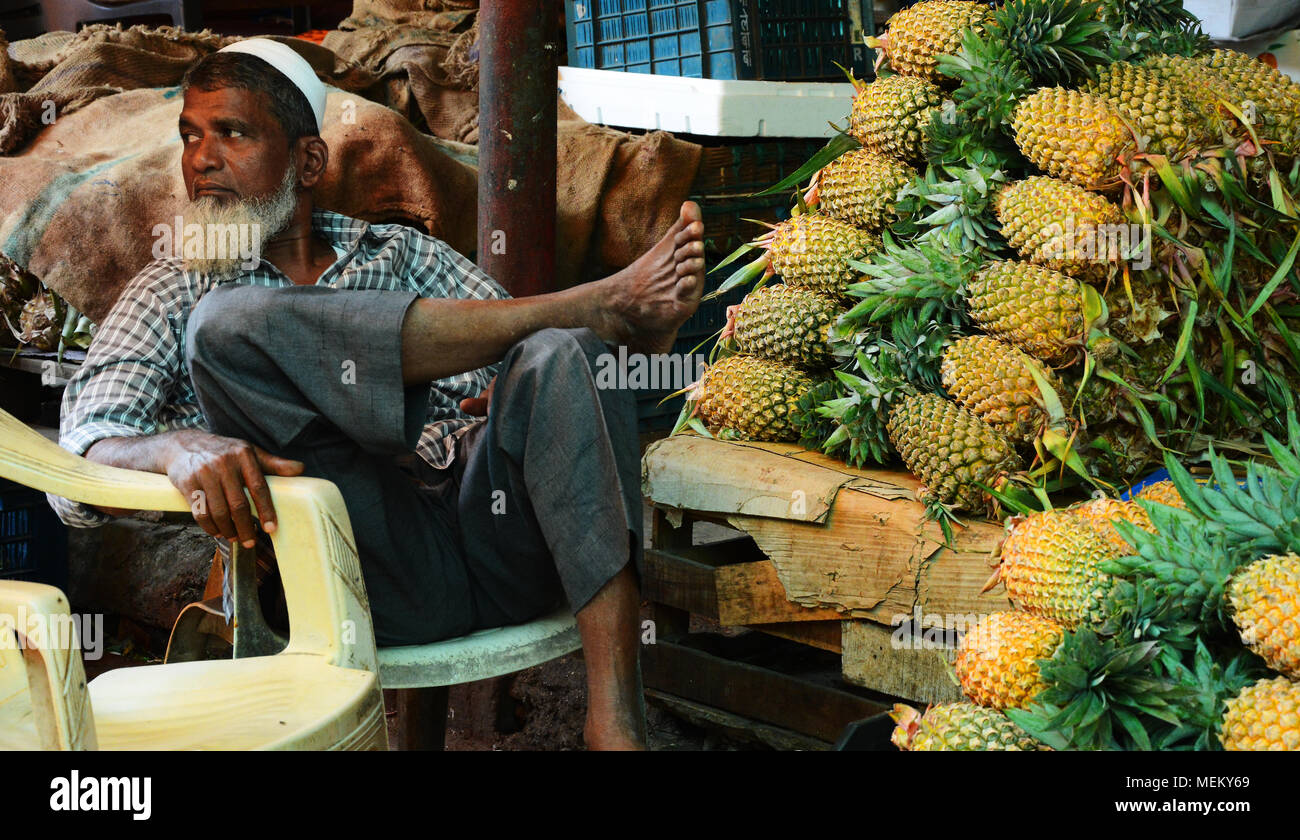 Abschaltdruck Halter verkaufen frische Ananas auf dem Crawford Markt, Mumbai, Indien Stockfoto