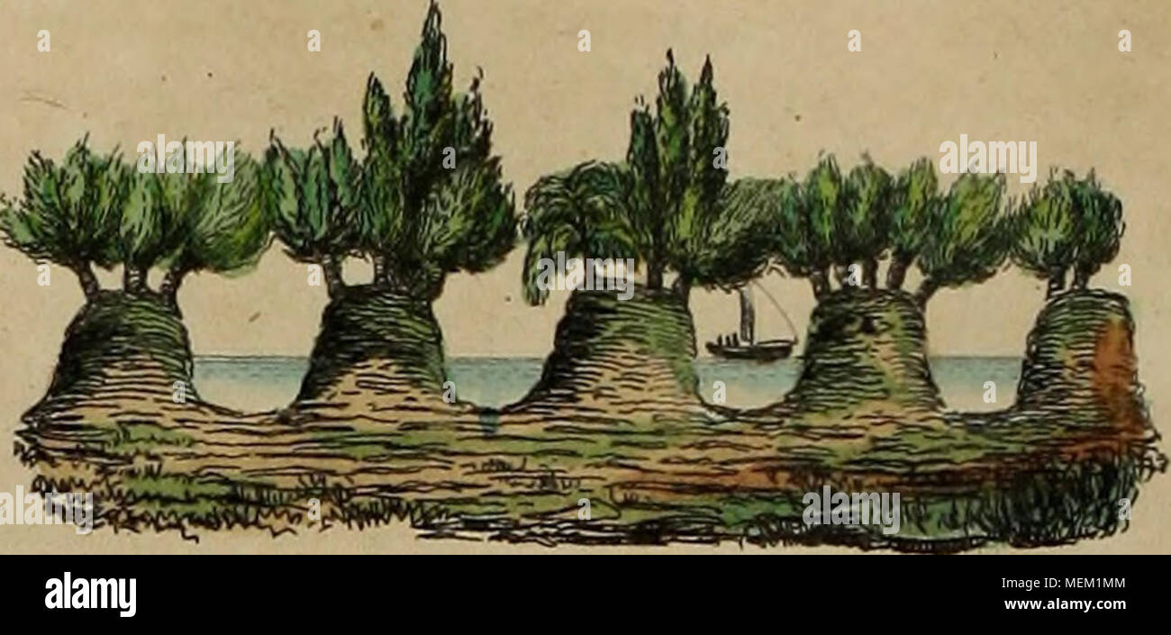 . Wörterbuch pittoresque d'histoire naturelle et des phénomènes de la Nature. Stockfoto