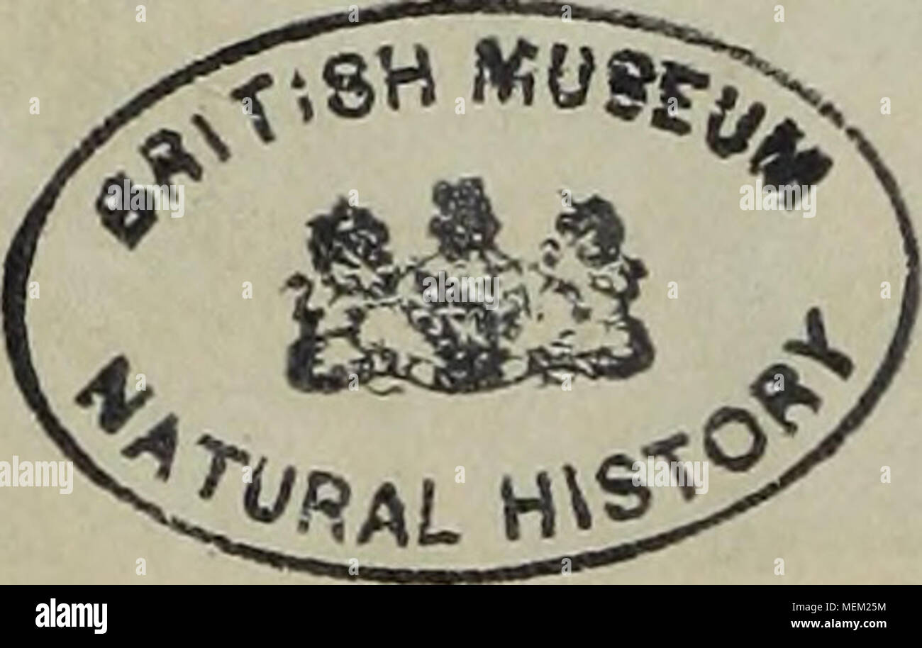 . Wörterbuch pittoresque d'histoire naturelle et des phénomènes de la Nature. Stockfoto