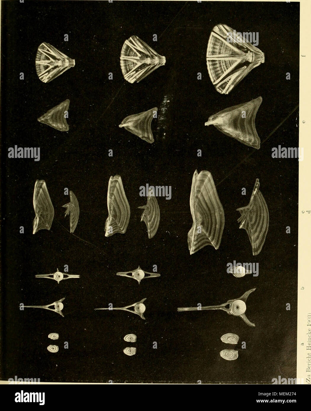 . Die Beteiligung Deutschlands an der internationalen Vollständigen: Bericht. Stockfoto