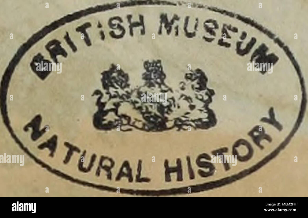 . Wörterbuch pittoresque d'histoire naturelle et des phénomènes de la Nature. Stockfoto