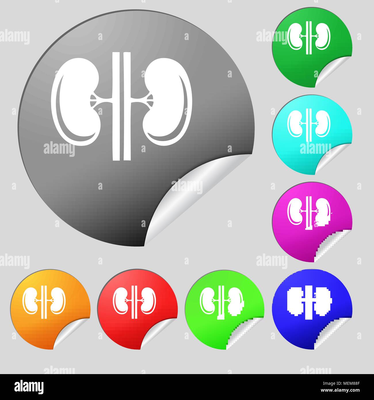 Nieren Symbol unterzeichnen. Satz von acht Bunten runde Buttons, Aufkleber. Vector Illustration Stock Vektor