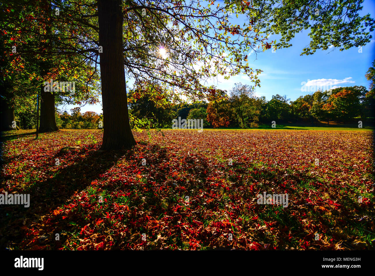 Herbst in New England, USA Stockfoto