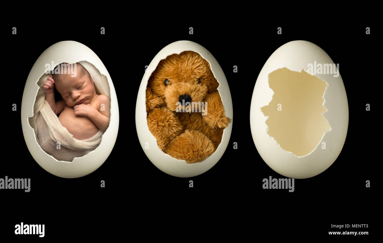 Neugeborenes Baby schlafen in einer zerbrochenen Ei Stockfoto