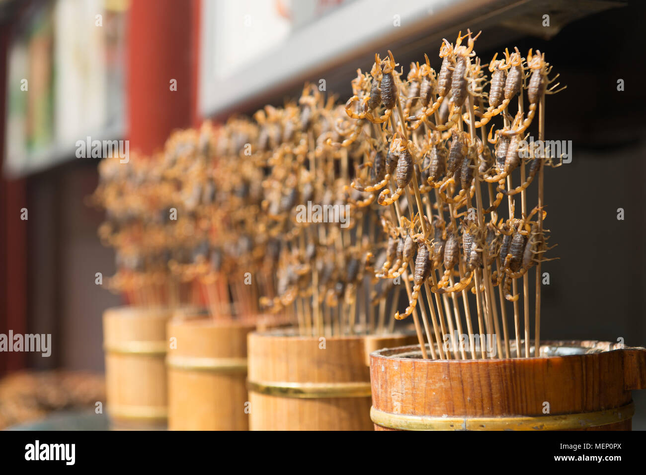 Grill und gebratene Skorpione auf Stick von der Wangfujing Straße in Peking, China Stockfoto