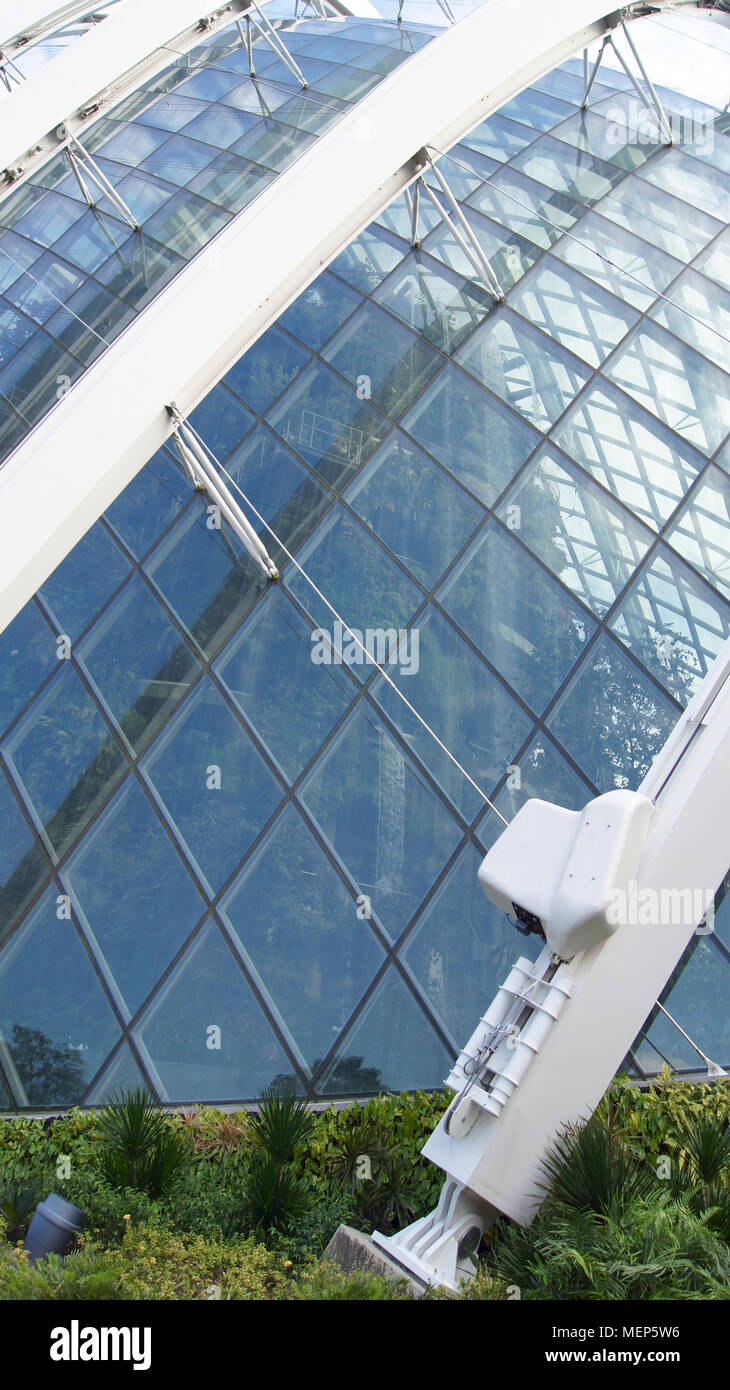 Singapur - APR 3 2015: Detail der Blume Dome Gebäude im Park Gardens by the Bay Stockfoto