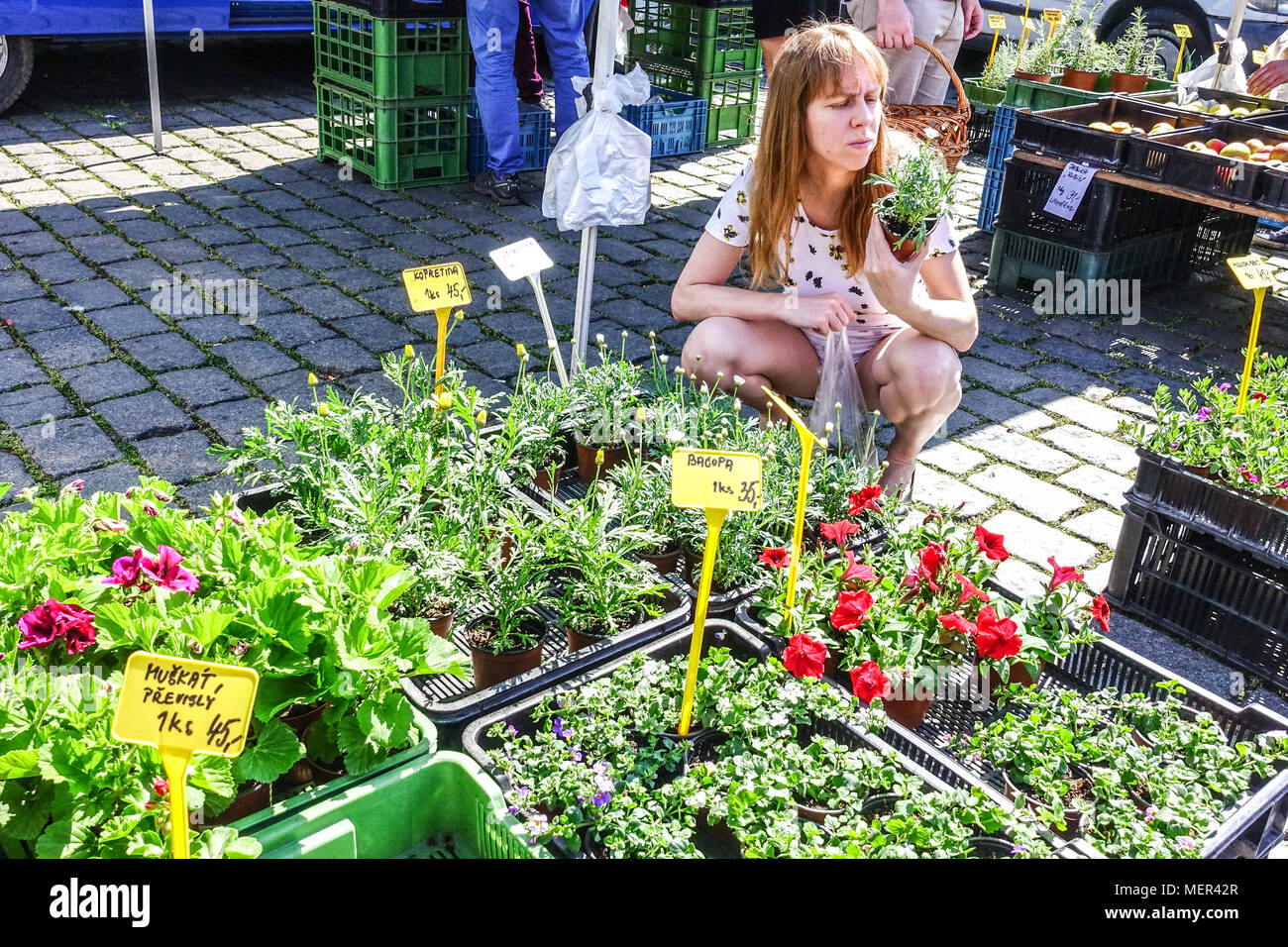 Frau und Blumen in Naplavka, Wochenmarkt der Bauern, Prag, Tschechische Republik Stockfoto