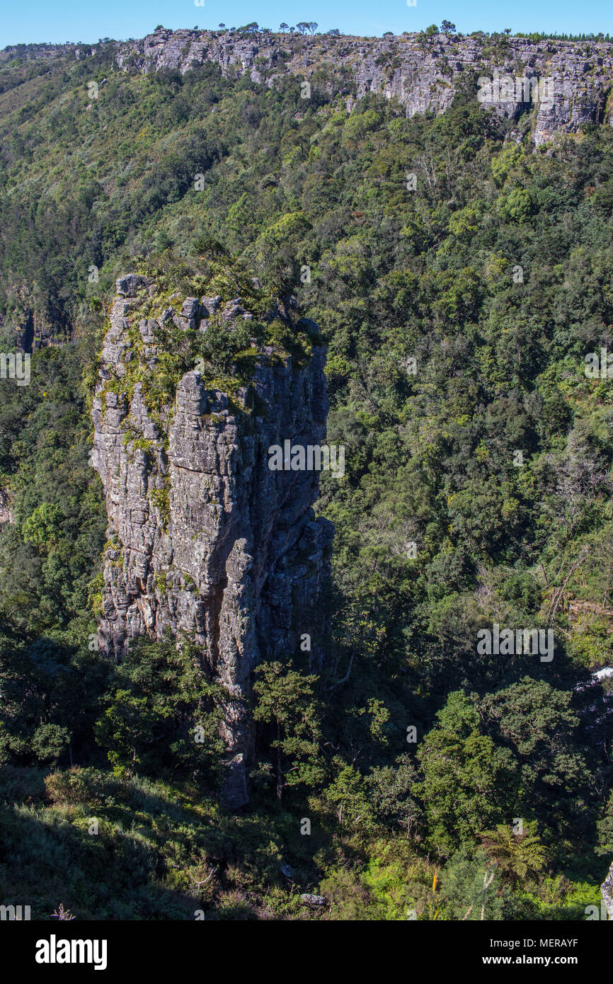 Der Pinnacle Rock im Blyde River Canyon in der Nähe von Graskop, Mpumalanga Südafrika Stockfoto