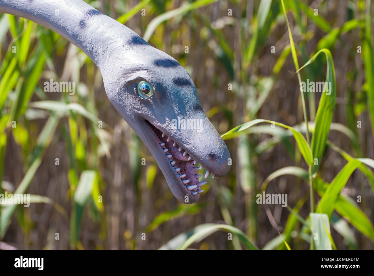 Skulptur von Dinosaur (Protorosaurus) im Leben. Stockfoto
