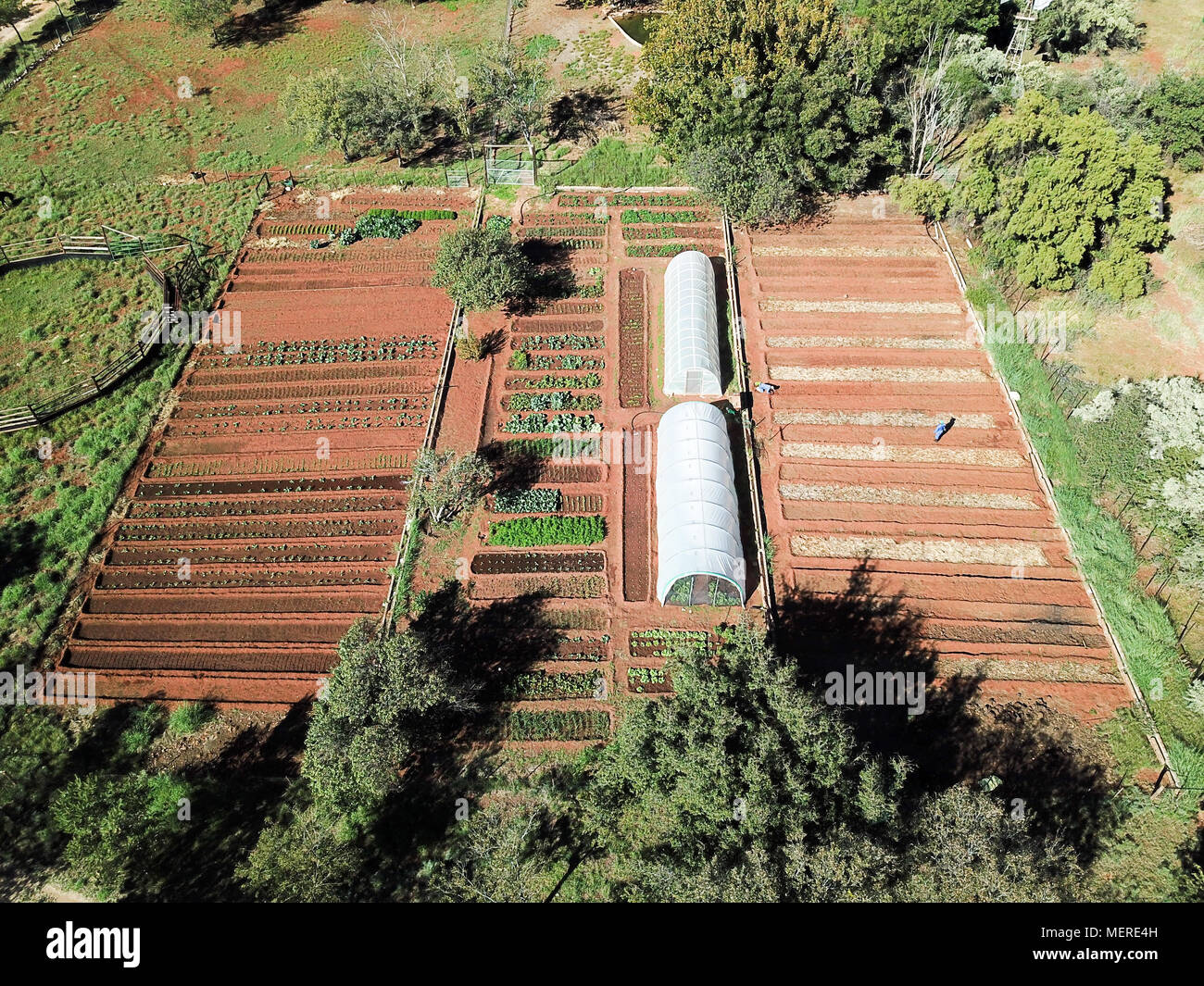 Drone footage ländlichen Gemüsegarten Luftaufnahme von organischen Gemüsegarten Stockfoto