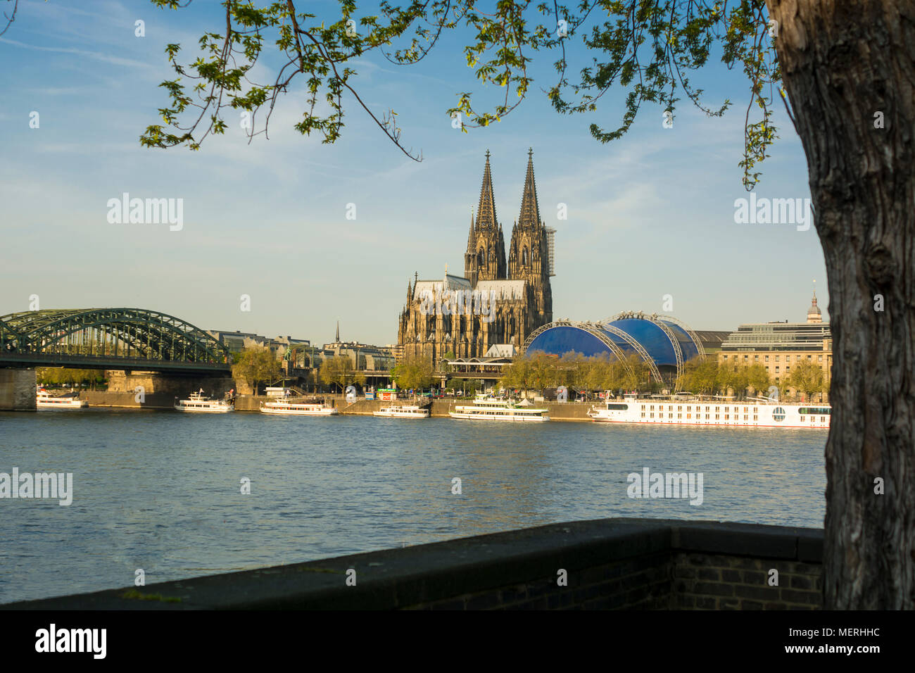 Blick auf Köln. Hohenzollern Brücke, Köln, Dom, Musical Dome, Rhein Stockfoto