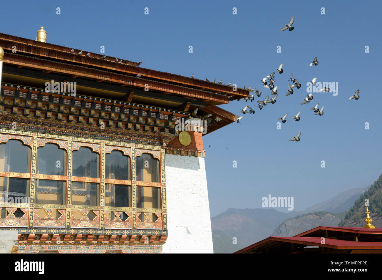 Tauben fliegen in der Nähe von Gebäude an der weiße Tempel, Haa Valley, Bhutan Stockfoto